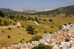 Caminos-de-naturaleza-Cabra