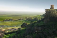 Caminos-de-naturaleza-Carmona