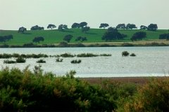 Caminos-de-naturaleza-Osuna
