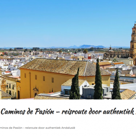 Caminos de Pasión en Grijsopreis.nl
