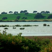 Lake Calderón Chica and Ballestera Nature Reserve