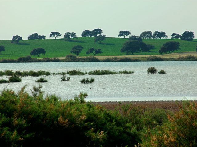 Reserva Laguna Calderón Chica y Ballestera