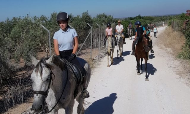 Club Caballista de Carmona (Horse riding school)