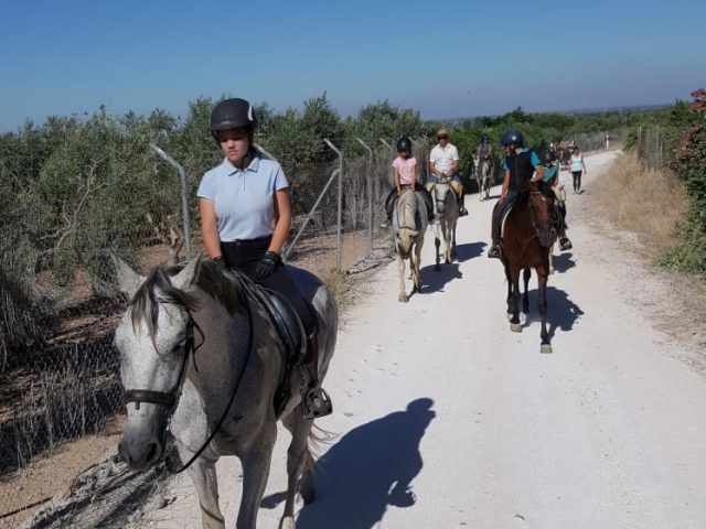 Club Caballista de Carmona (Horse riding school)