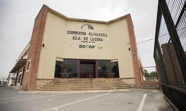 Olivenkooperative Olivarera de Lucena