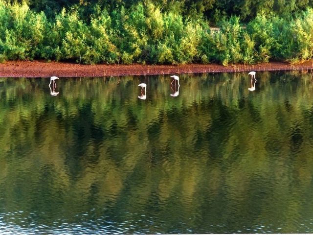 Itinéraire Laguna Amarga