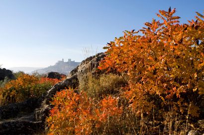 Actividades Puente de Todos los Santos en Caminos de Pasión
