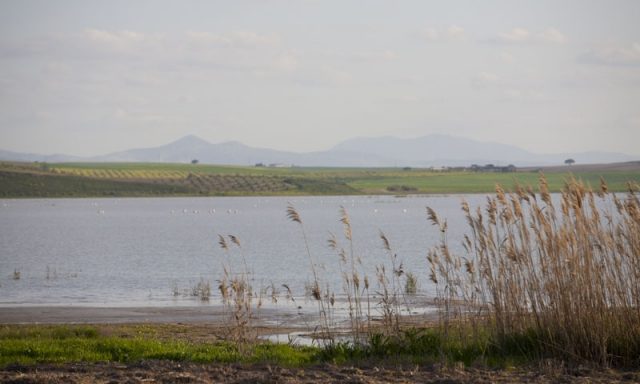 Laguna de Ruíz Sánchez (lake)