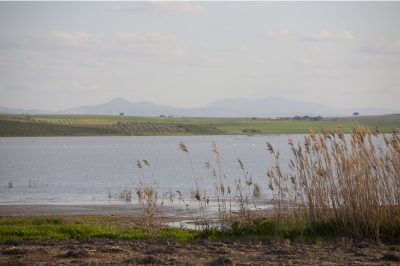 Laguna de Ruíz Sánchez (lake)