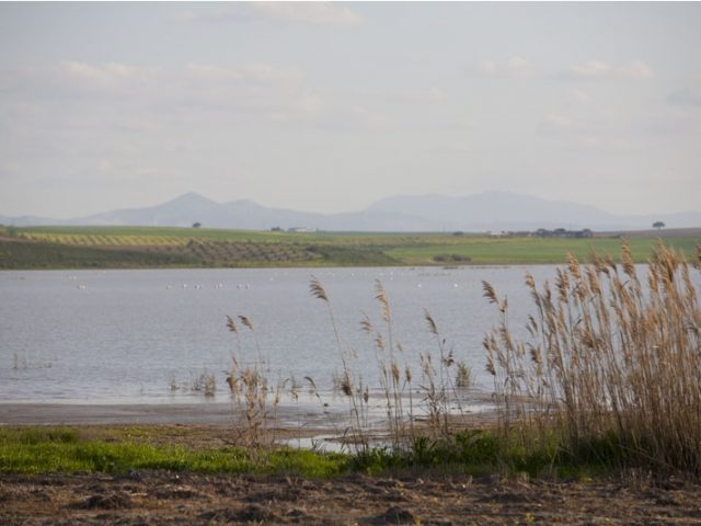 Lagune de Ruíz Sánchez