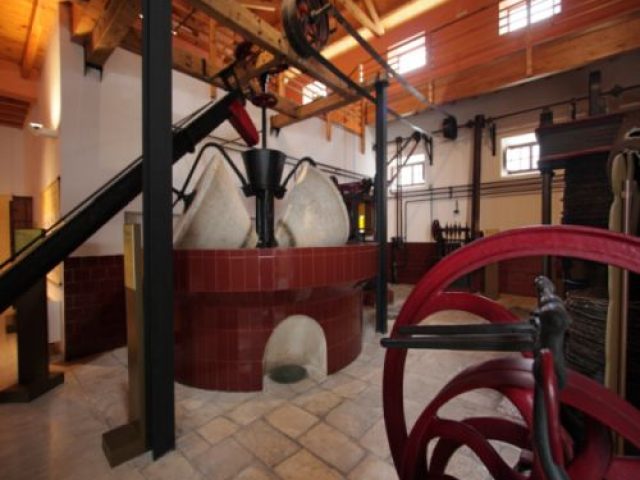 Musée de l’oliveraie et de l’huile d’olive