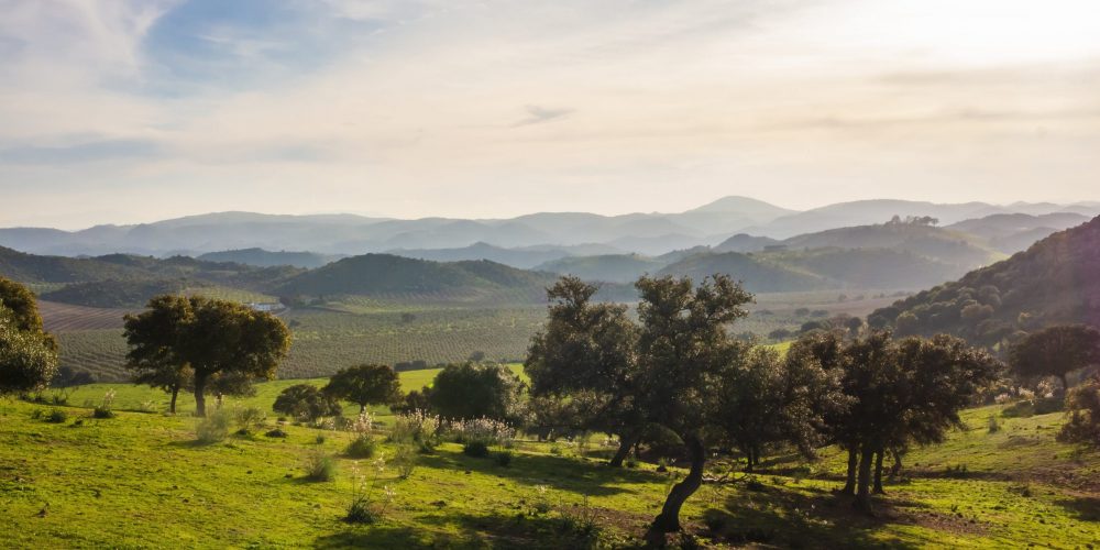 Naturaleza y senderos en el interior de Andalucía