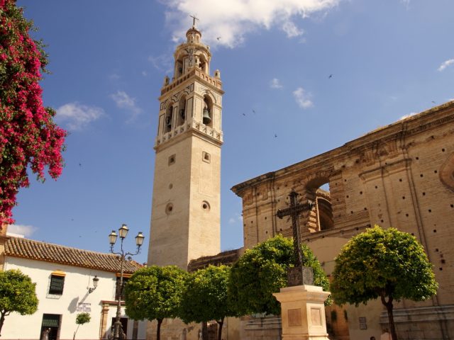 Iglesia Mayor de Santa Cruz y Museo de Arte Sacro
