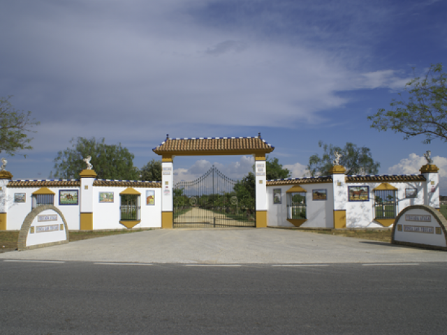 Yeguada Ayala (Ayala stud farm)