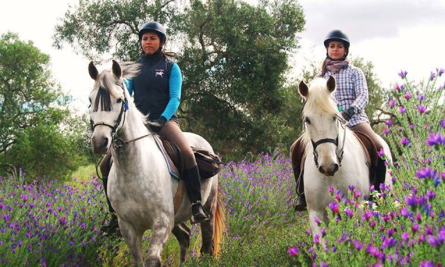 Centro Ecuestre Epona