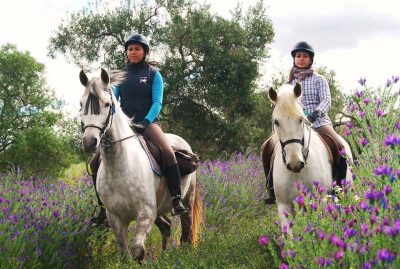 Centro Ecuestre Epona (horse riding centre)