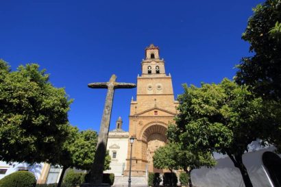 Viacrucis Consejo de Hermandades y Cofradías de Utrera