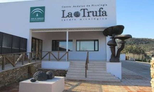 Mycological garden and Andalusian Mycology Centre ‘La Trufa’