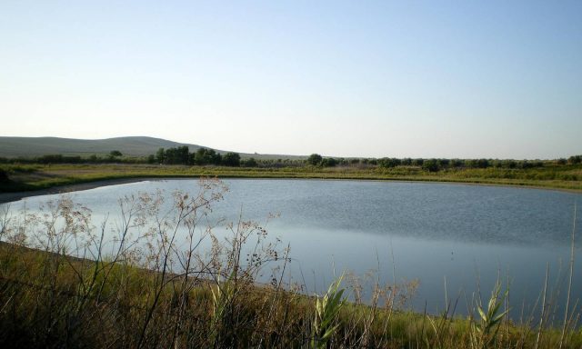 Laguna del Rincón del Muerto