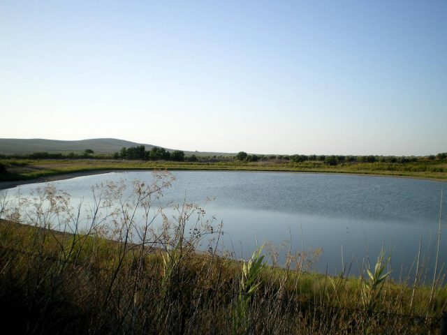 Laguna del Rincón del Muerto