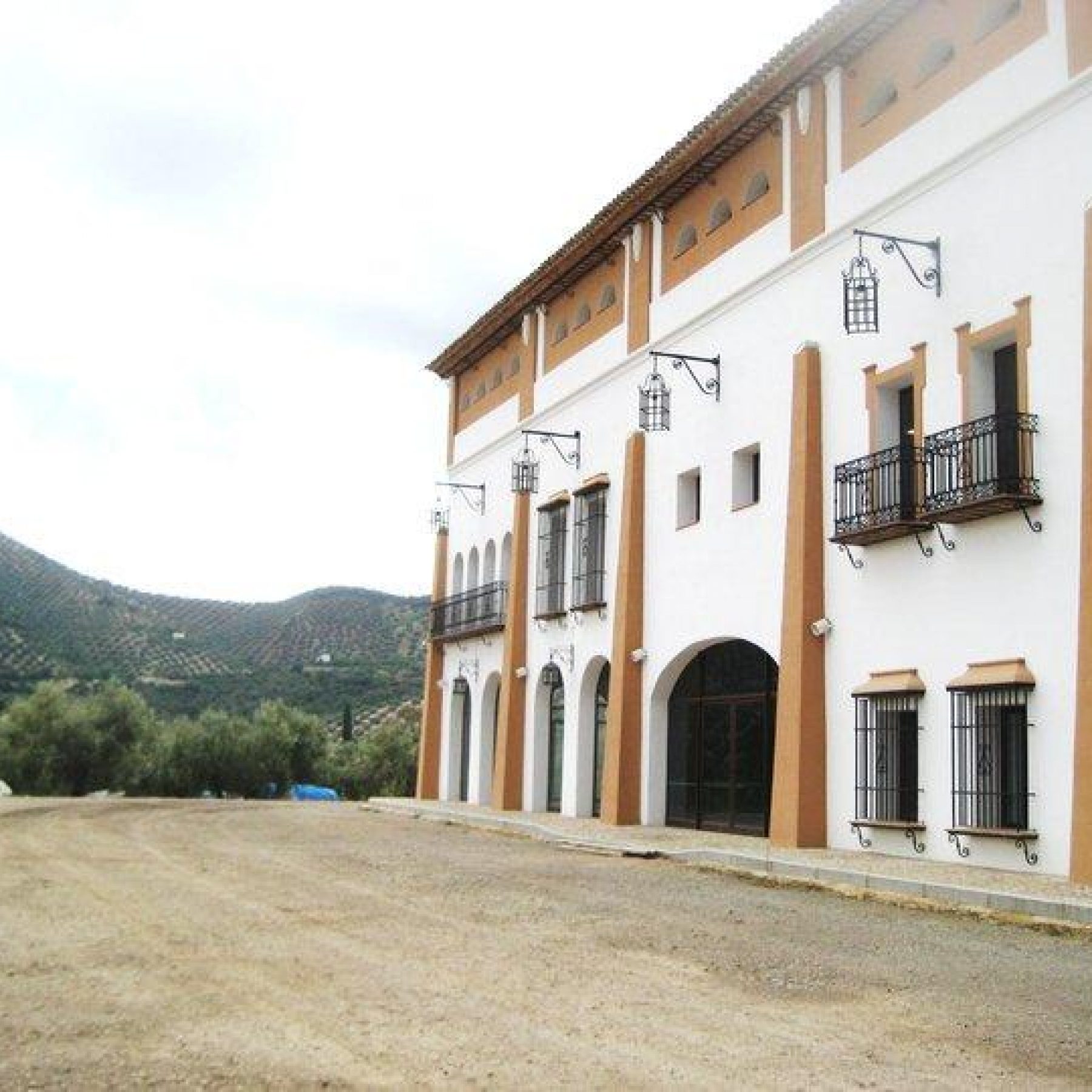 Visita a almazara Manuel Montes Marín, Priego de Córdoba 