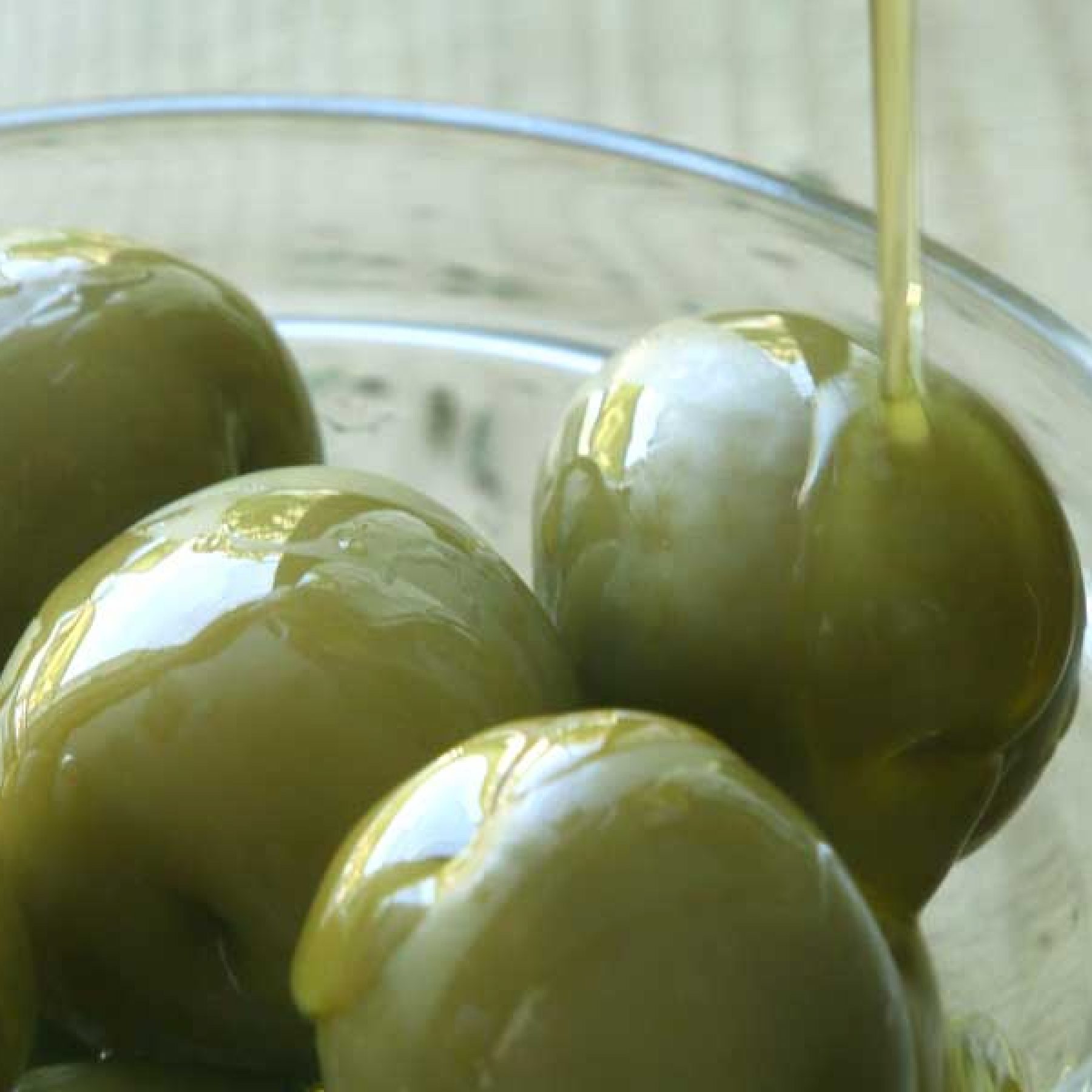 Visit to Oleand Manzanilla Olive, tasting of manzanilla and gordal olive varieties from Seville, Utrera