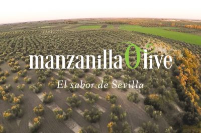 Oleand Manzanilla Olive