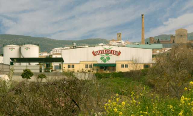 Almazara Mueloliva (olive mill)