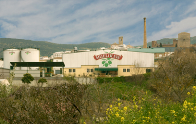 Almazara Mueloliva (olive mill)