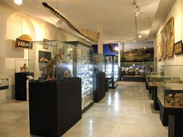 Museo Aguilar y Eslava