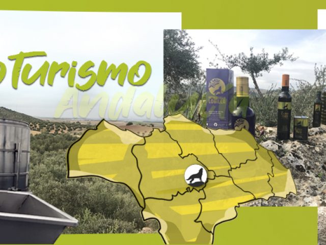 Olivenölmühle Almazara Oleico Pallarés