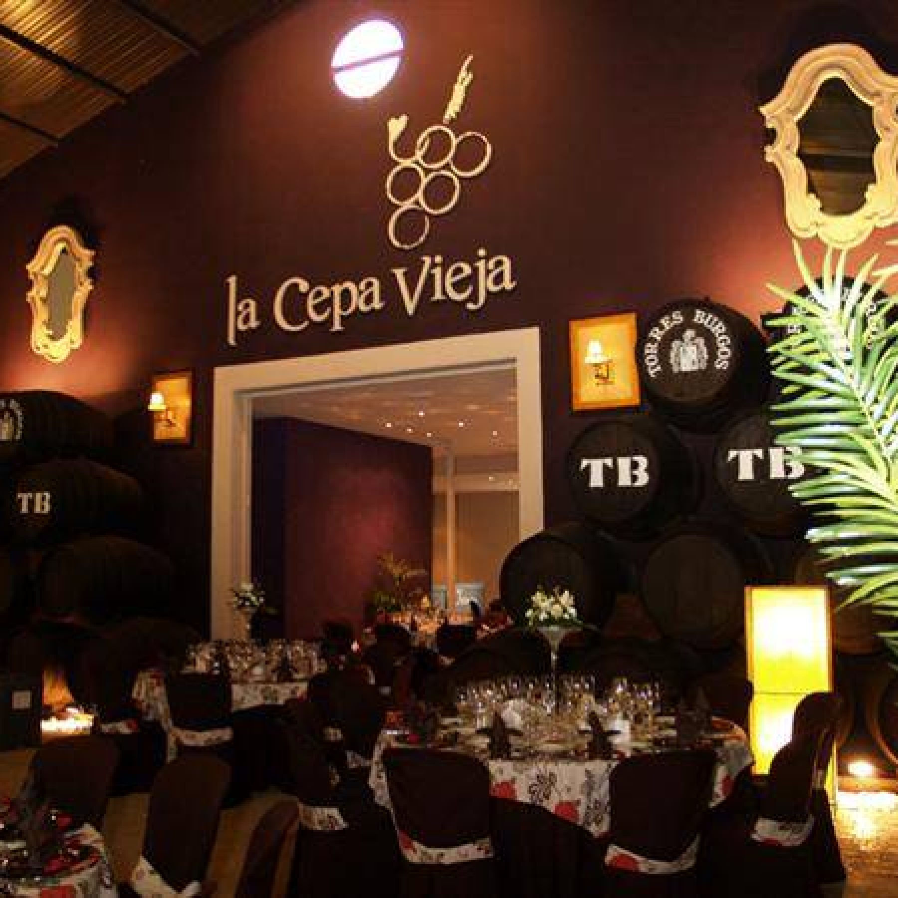 Visit to the winery Torres Burgos, Lucena